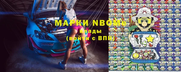 молекула духа Волоколамск
