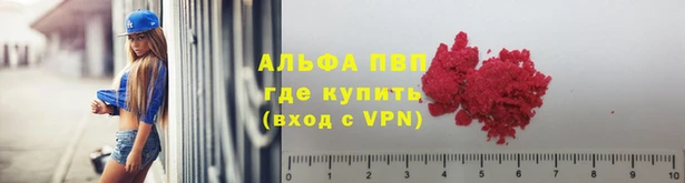 молекула духа Волоколамск
