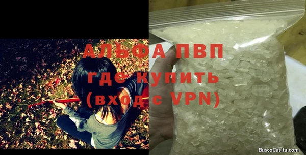 молекула духа Волоколамск